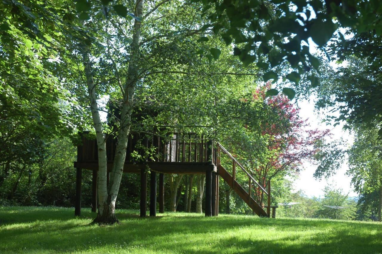 Le Logis Du Pressoir Self Catering Gites In Beautiful 18Th Century Estate In The Heart Of The Loire Valley With Heated Pool And Extensive Grounds. Les Bois-d'Anjou Dış mekan fotoğraf